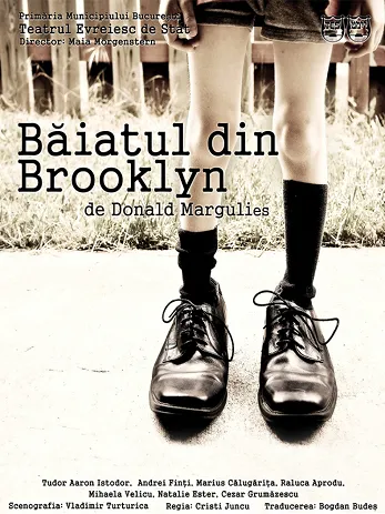 baiatul-din-brooklyn