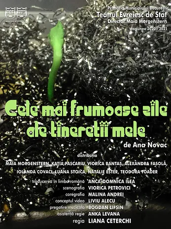 cele-mai-frumoase-zile-ale-tineretii-mele