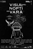visul-unei-nopti-de-vara
